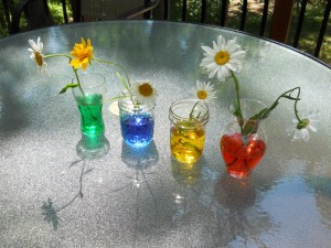 daisycolor
