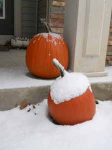 snow_pumpkins