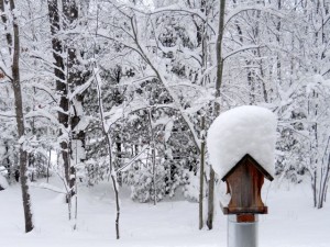 snowy_roof